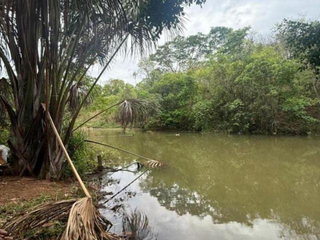 Sítio e chácara venda em Região Geográfica Imediata de Goiânia, Senador Canedo