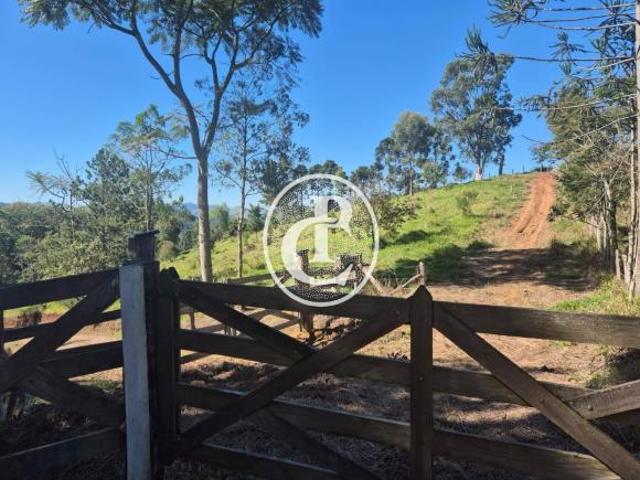Sítio e chácara venda em Região Imediata de Campinas, Região Metropolitana de Campinas