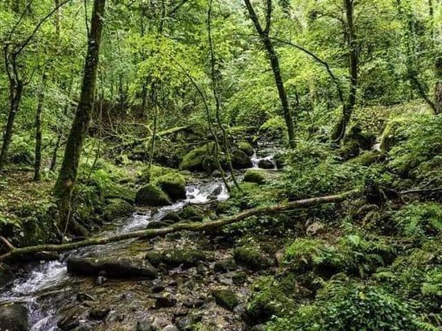 Sítio e chácara venda em Região Geográfica Imediata de Paranaguá, Guaratuba
