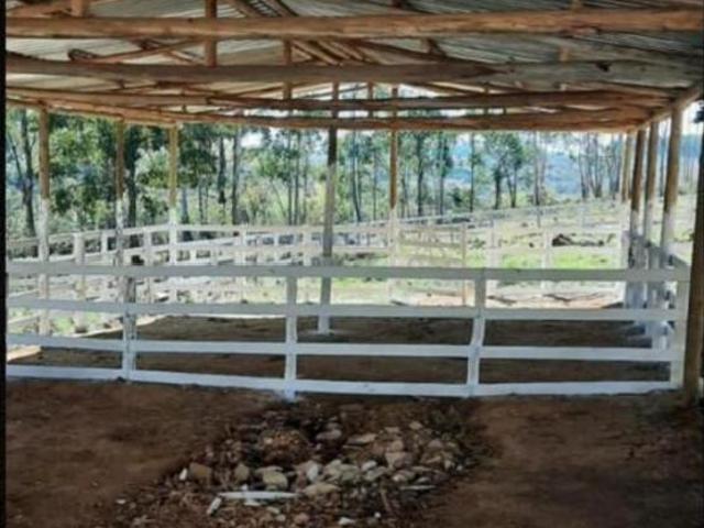 Sítio e chácara venda em Região Geográfica Imediata de Conselheiro Lafaiete, Desterro de Entre Rios