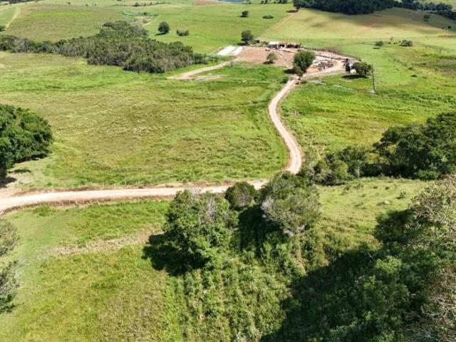 Sítio e chácara venda em Região Geográfica Imediata de Pouso Alegre, Senador José Bento