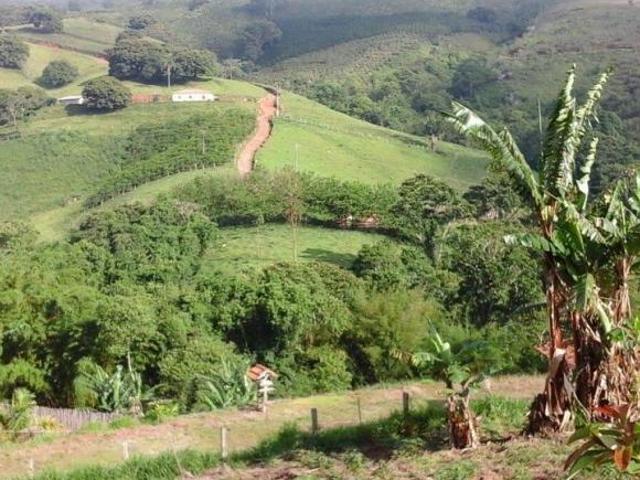 Sítio e chácara venda em Região Imediata de São José do Rio Pardo-Mococa, Divinolândia