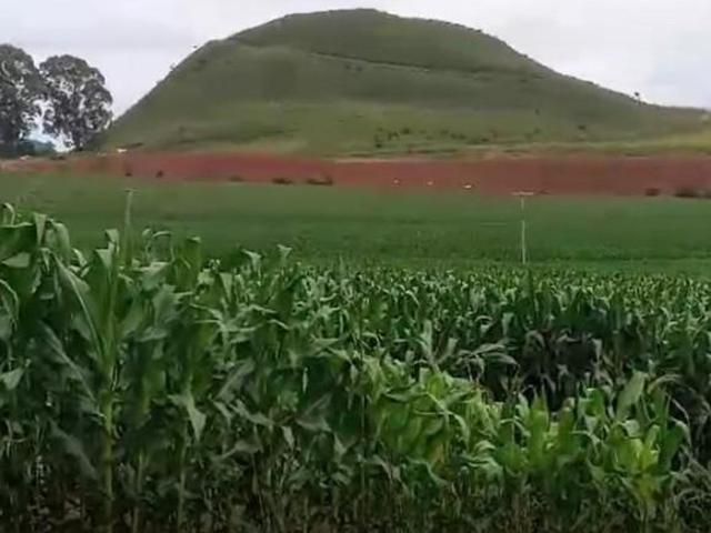 Sítio e chácara venda em Região Geográfica Imediata de Poços de Caldas, Andradas