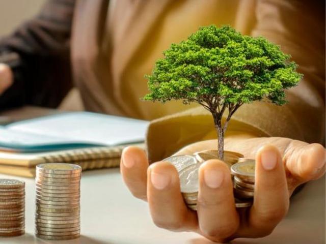 Sítio e chácara venda em Região Geográfica Imediata de Belo Horizonte, Região Metropolitana de Belo Horizonte