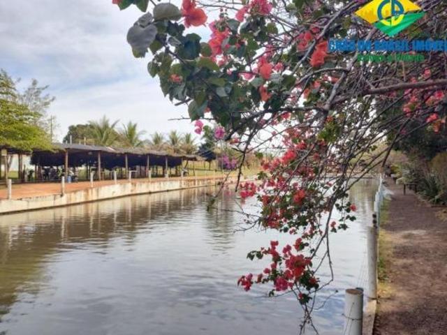 Sítio e chácara venda em Região Geográfica Imediata de Campo Grande, Campo Grande