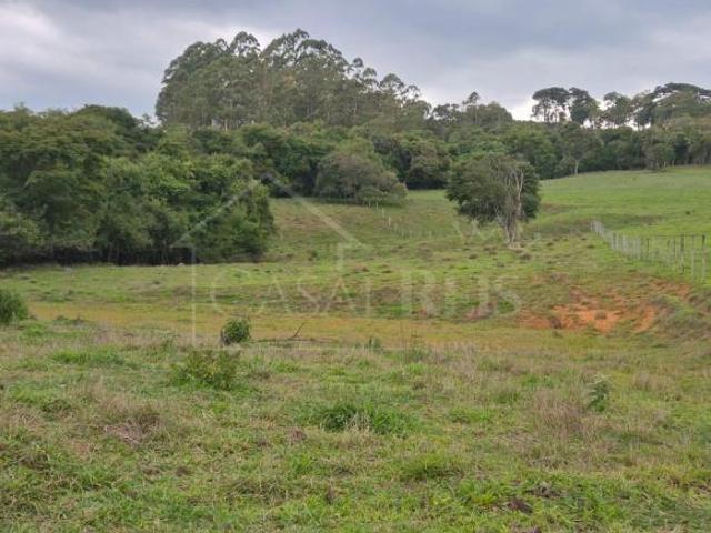 Sítio e chácara venda em Região Geográfica Imediata de Belo Horizonte, Região Metropolitana de Belo Horizonte