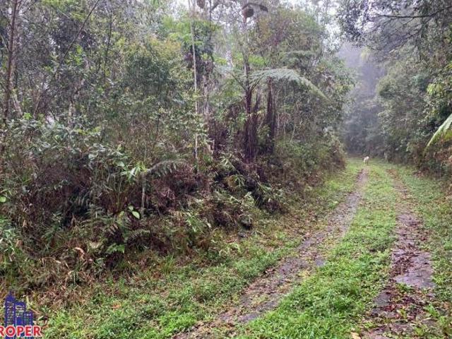 Sítio e chácara venda em Região Imediata de São Paulo, Região Metropolitana de São Paulo
