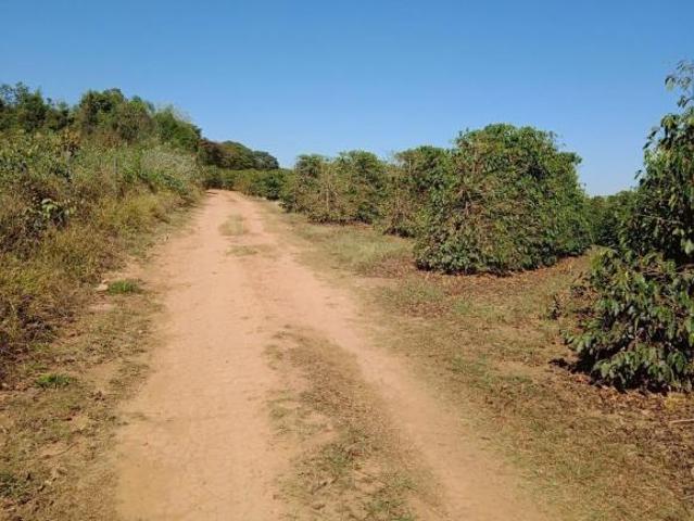 Sítio e chácara venda em Região Geográfica Imediata de Pouso Alegre, Santa Rita do Sapucaí
