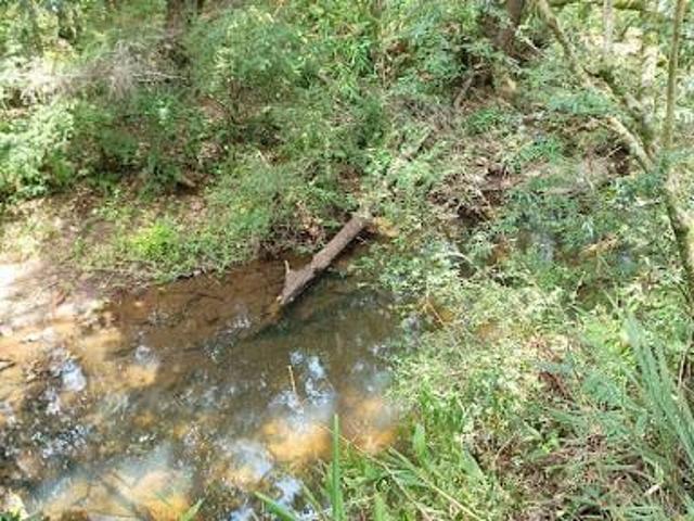 Sítio e chácara venda em Região Geográfica Imediata de Santa Cruz do Sul, Santa Cruz do Sul