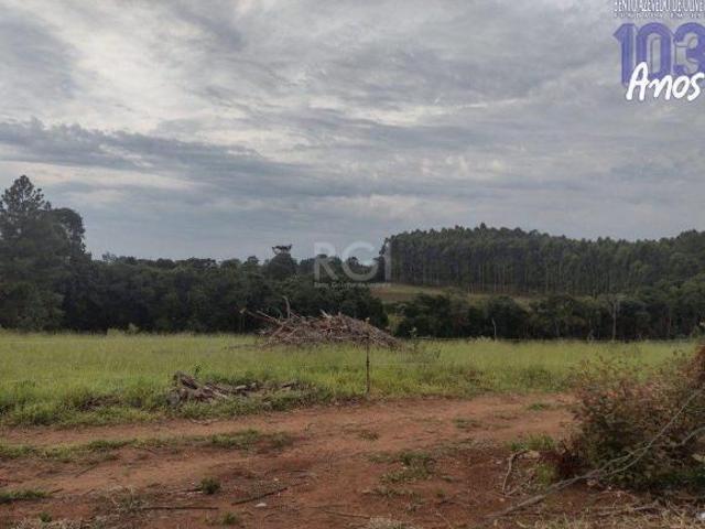Sítio e chácara venda em Região Geográfica Imediata de Taquara - Parobé - Igrejinha, Região Metropolitana de Porto Alegre