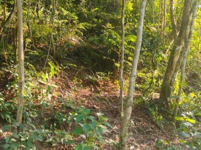 Sítio e chácara venda em Região Imediata de Guaratinguetá, Região Metropolitana do Vale do Paraíba e Litoral Norte