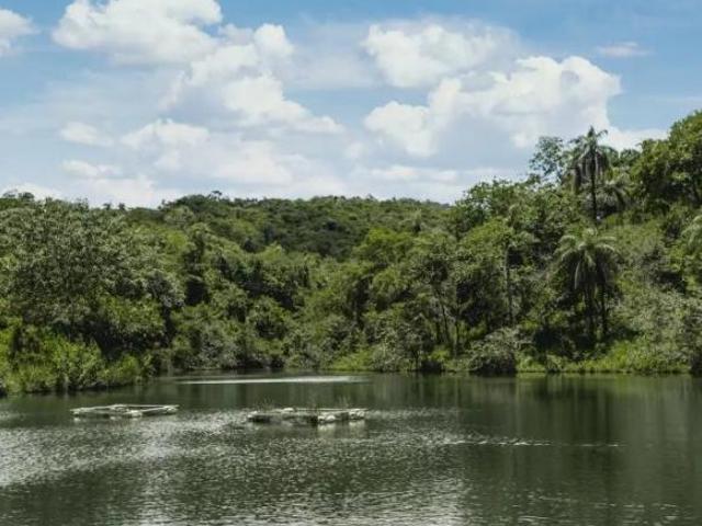 Sítio e chácara venda em Região Geográfica Imediata de Belo Horizonte, Região Metropolitana de Belo Horizonte
