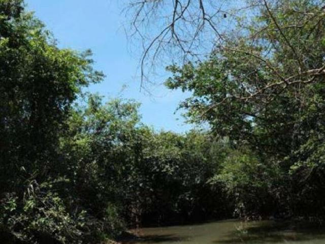Sítio e chácara venda em Região Geográfica Imediata de Uberlândia, Oliveira Fortes