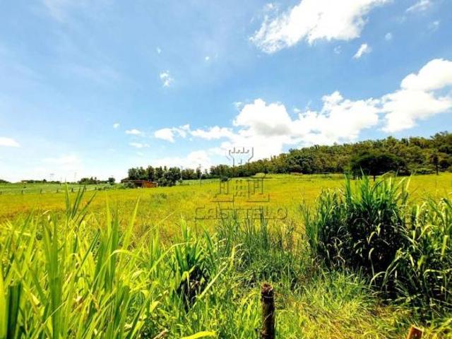 Sítio e chácara venda em Região Geográfica Imediata de Londrina, Londrina