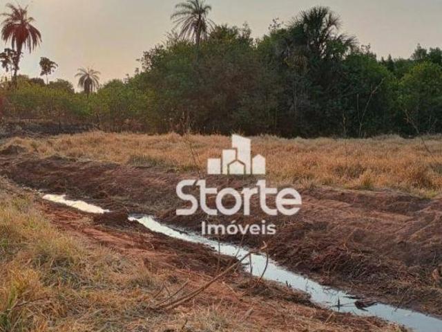 Sítio e chácara venda em Região Geográfica Imediata de Uberlândia, Araguari
