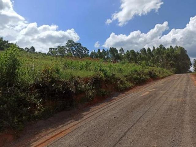 Sítio e chácara venda em Região Geográfica Imediata de Santa Bárbara - Ouro Preto, Catas Altas