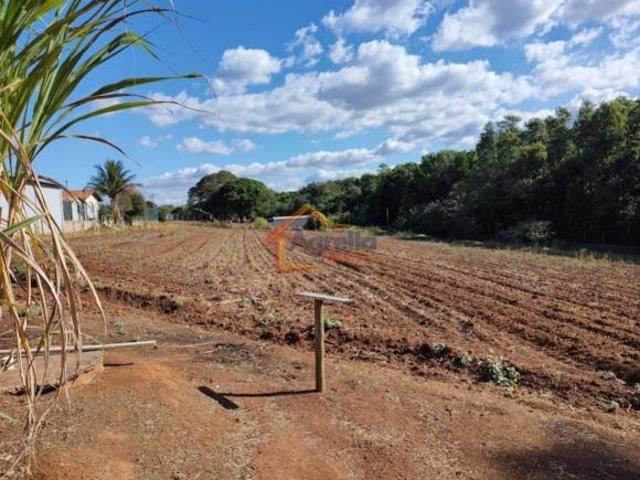 Sítio e chácara venda em Região Imediata de Mogi Guaçu, Região Sudeste