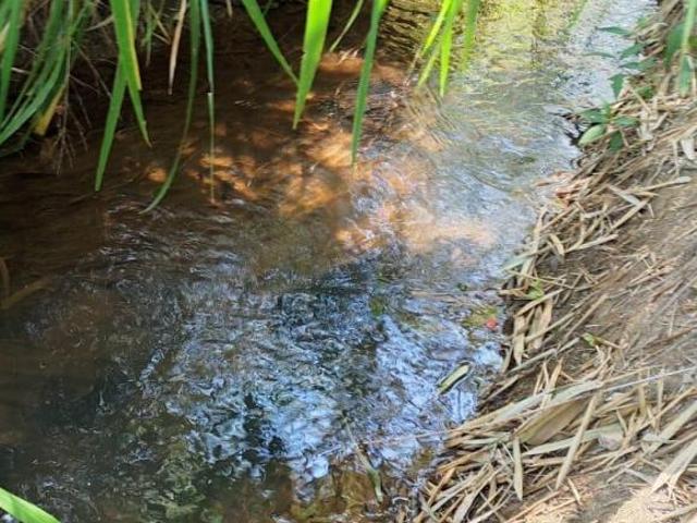 Sítio e chácara venda em Região Geográfica Imediata de Oliveira, Piedade dos Gerais