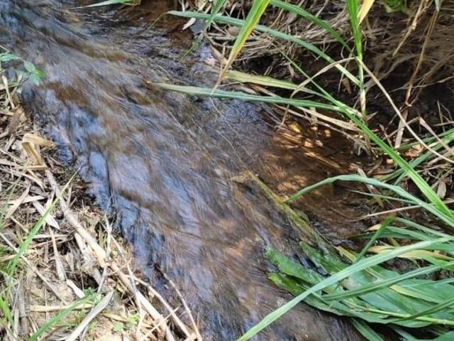 Sítio e chácara venda em Região Geográfica Imediata de Oliveira, Piedade dos Gerais