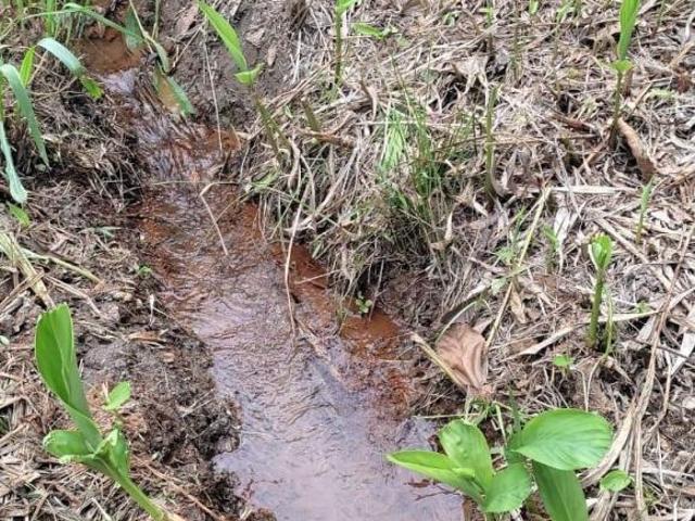 Sítio e chácara venda em Região Geográfica Imediata de Oliveira, Piedade dos Gerais