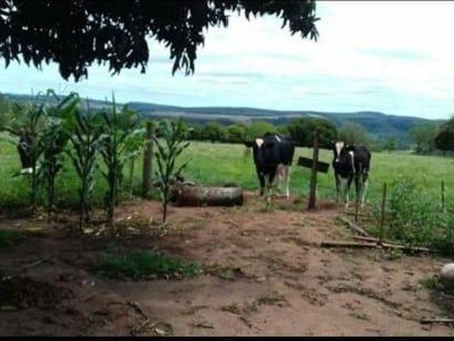Sítio e chácara venda em Região Imediata de Itapetininga, Angatuba