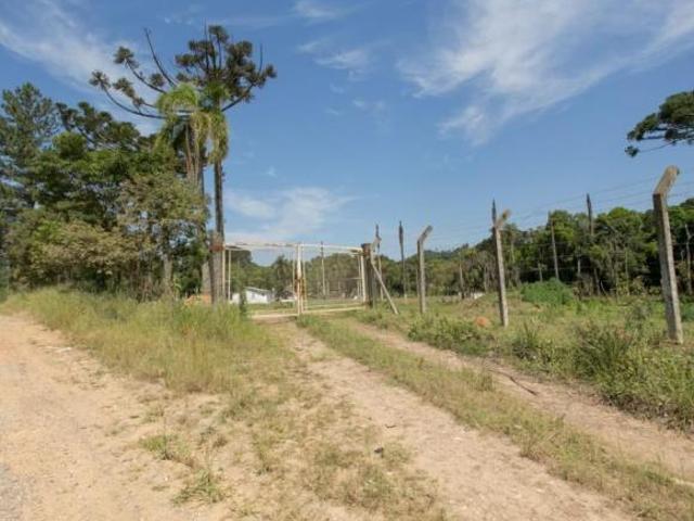 Sítio e chácara venda em Região Geográfica Imediata de Curitiba, Região Metropolitana de Curitiba