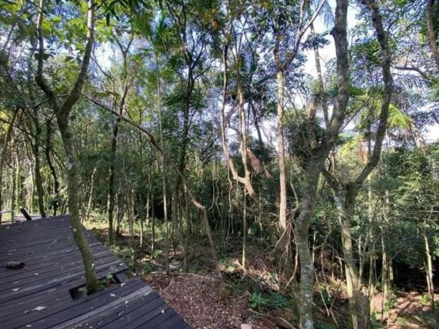 Sítio e chácara venda em Região Geográfica Imediata de Santa Cruz do Sul, Santa Cruz do Sul