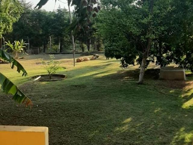 Sítio e chácara venda em Região Imediata de Marília, Marília