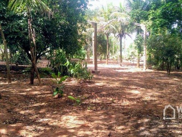 Sítio e chácara venda em Região Geográfica Imediata de Paranavaí, Paranavaí