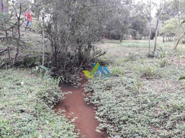 Sítio e chácara venda em Região Geográfica Imediata de Curitiba, Região Metropolitana de Curitiba