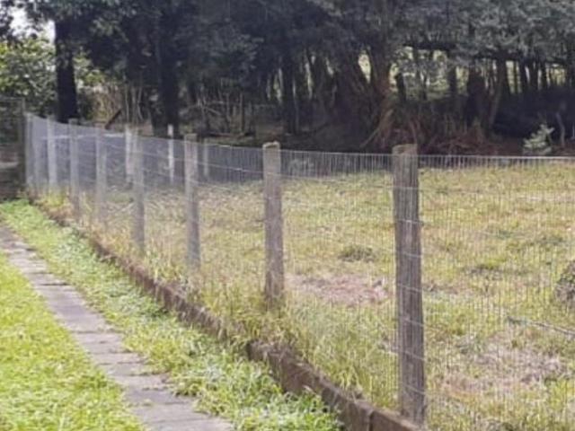 Sítio e chácara venda em Região Geográfica Imediata de Novo Hamburgo - São Leopoldo, Morro Reuter