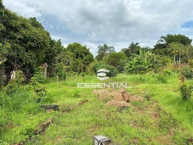 Sítio e chácara venda em Região Imediata de São José do Rio Preto, Região Metropolitana de São José do Rio Preto