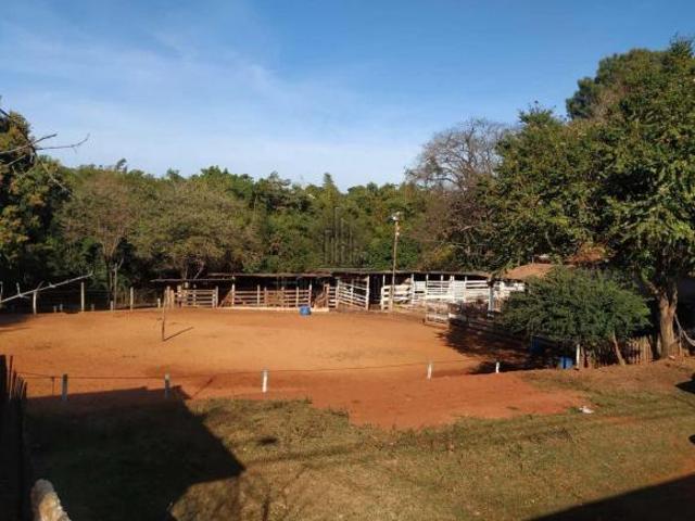Sítio e chácara venda em Região Imediata de Ribeirão Preto, Região Metropolitana de Ribeirão Preto