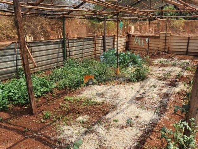 Sítio e chácara venda em Região Imediata de Ribeirão Preto, Região Metropolitana de Ribeirão Preto