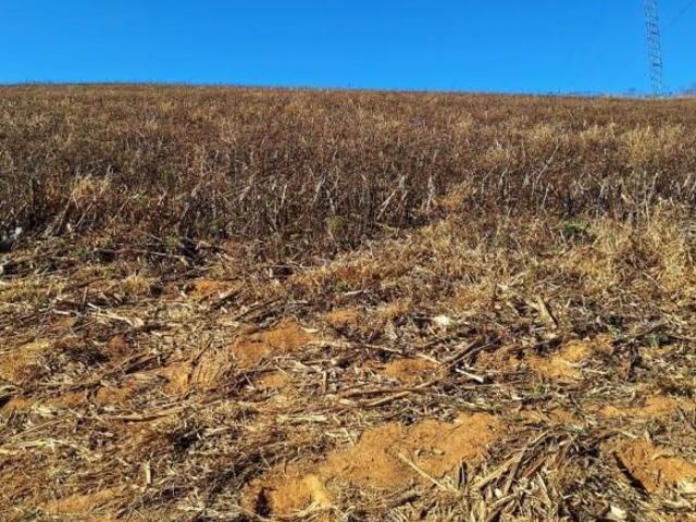 Sítio e chácara venda em Região Geográfica Imediata de Pouso Alegre, Espírito Santo do Dourado