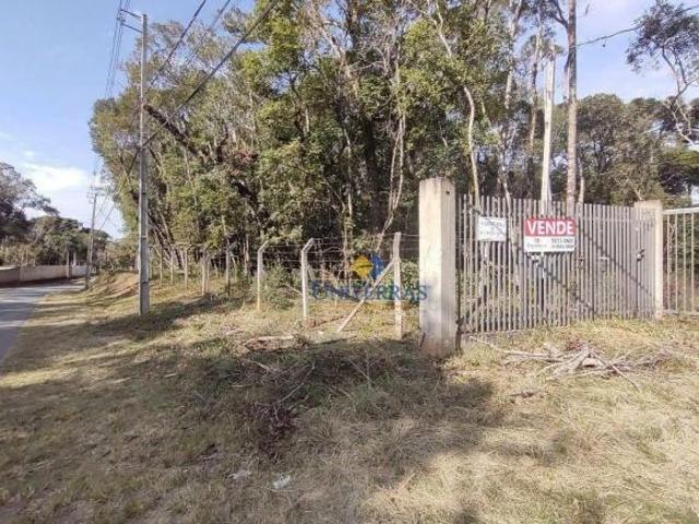 Sítio e chácara venda em Região Geográfica Imediata de Curitiba, Região Metropolitana de Curitiba