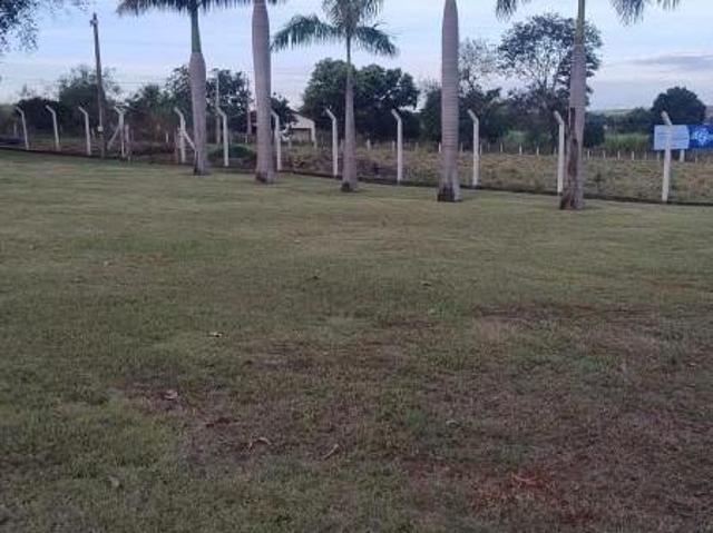 Sítio e chácara venda em Região Imediata de Fernandópolis, Fernandópolis