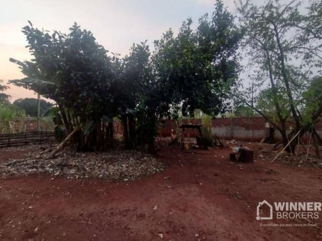 Sítio e chácara venda em Região Geográfica Imediata de Maringá, Paiçandu
