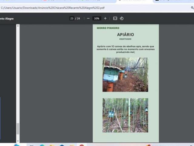 Sítio e chácara venda em Região Imediata de Amparo, Monte Alegre do Sul
