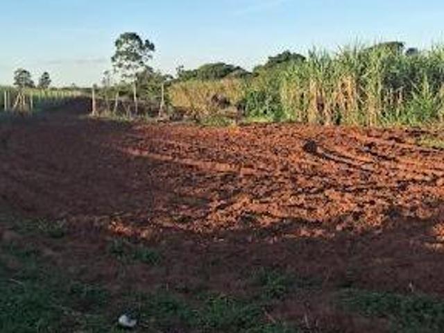 Sítio e chácara venda em Região Geográfica Imediata de Maringá, Presidente Castelo Branco