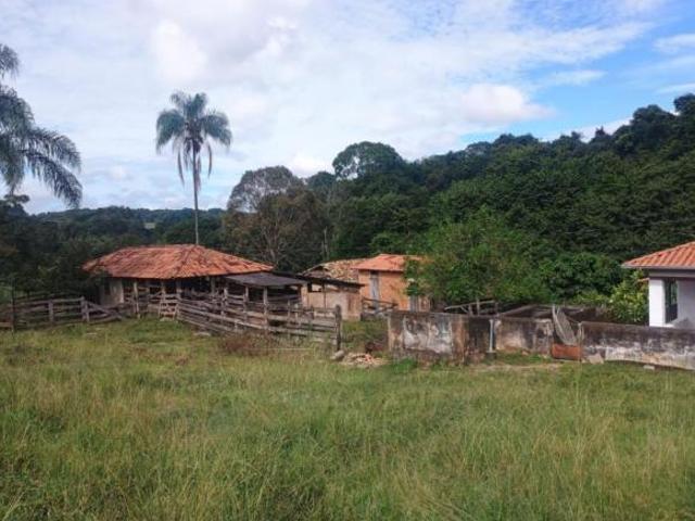 Sítio e chácara venda em Região Geográfica Imediata de Oliveira, Região Metropolitana de Belo Horizonte