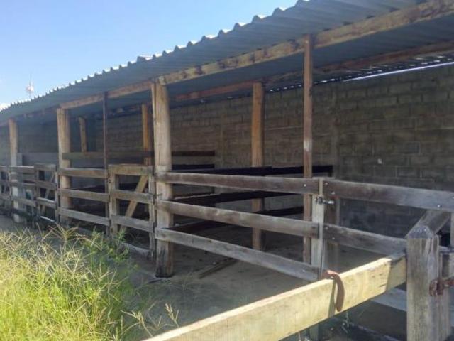 Sítio e chácara venda em Região Imediata de Taubaté-Pindamonhangaba, Região Metropolitana do Vale do Paraíba e Litoral Norte