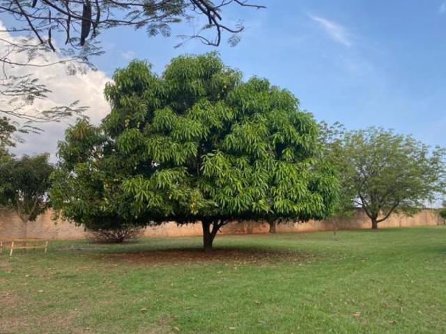 Sítio e chácara venda em Região Imediata de São José do Rio Preto, Região Metropolitana de São José do Rio Preto