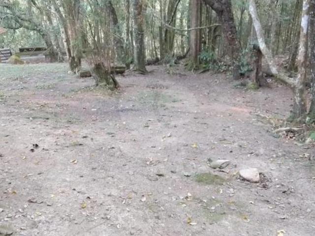 Sítio e chácara venda em Região Geográfica Imediata de Curitiba, Região Metropolitana de Curitiba