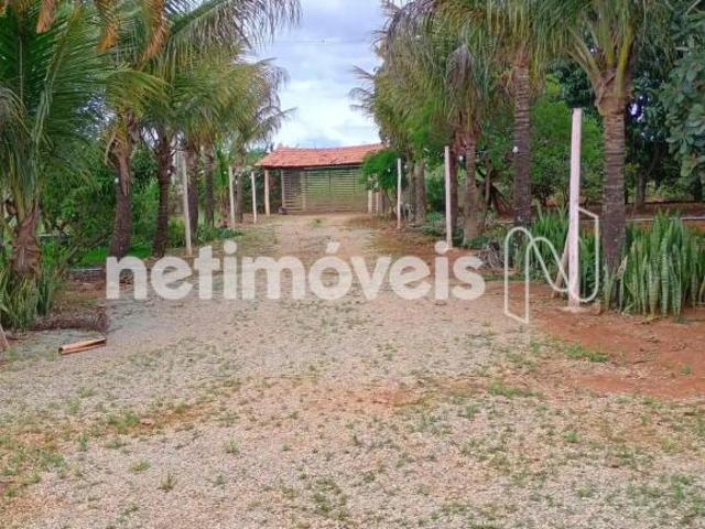 Sítio e chácara venda em Região Geográfica Imediata do Distrito Federal, Região Integrada de Desenvolvimento do Distrito Federal e Entorno