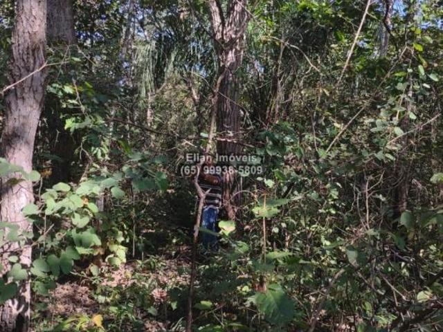 Sítio e chácara venda em Região Geográfica Imediata de Cuiabá, Rosário Oeste