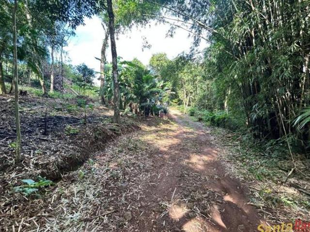 Sítio e chácara venda em Região Geográfica Imediata de Santa Cruz do Sul, Santa Cruz do Sul