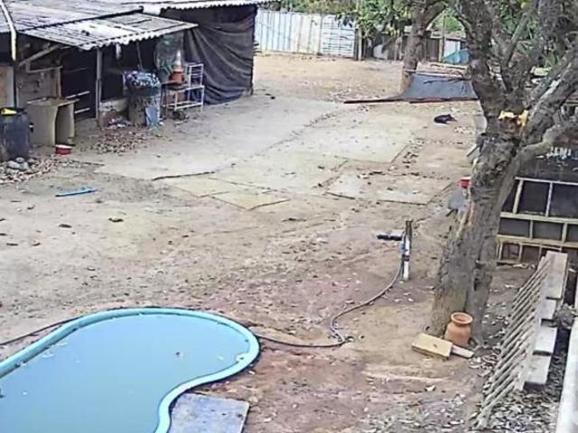 Sítio e chácara venda em Região Geográfica Imediata de Uberlândia, Oliveira Fortes