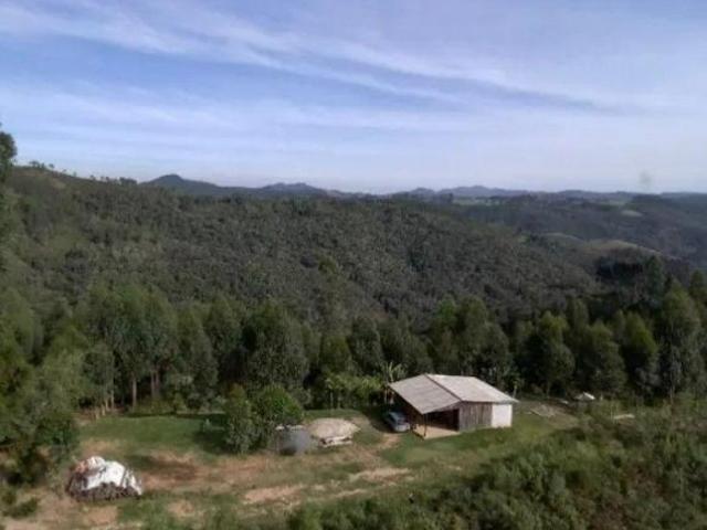 Sítio e chácara venda em Região Geográfica Imediata de Curitiba, Região Metropolitana de Curitiba