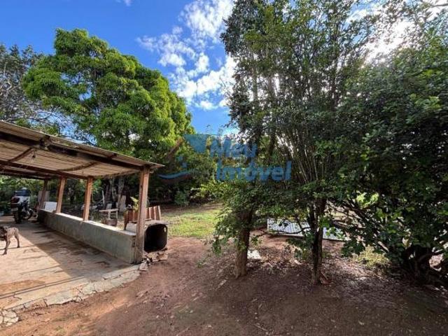 Sítio e chácara venda em Região Geográfica Imediata de Luziânia, Região Integrada de Desenvolvimento do Distrito Federal e Entorno